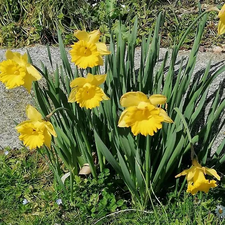 Campingplads Le Pre *